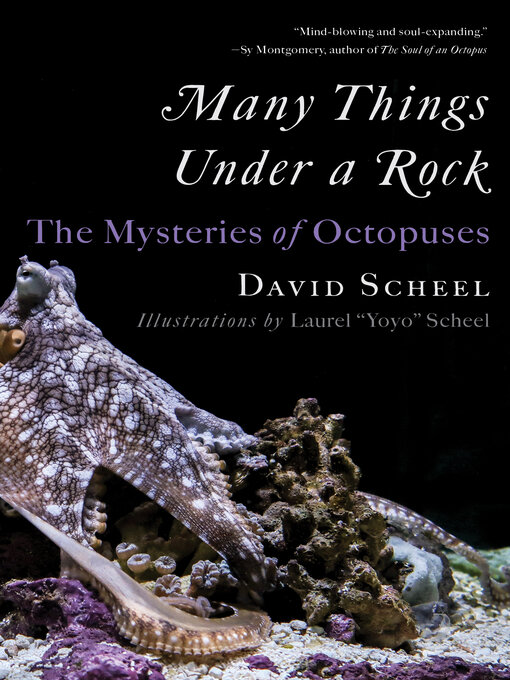 Title details for Many Things Under a Rock by David Scheel - Available